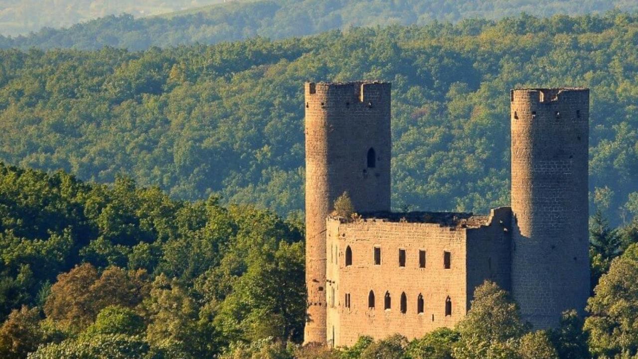 La Curiosite - Appartement 2 Chambres A Barr, Route Des Vins D'Alsace Dış mekan fotoğraf