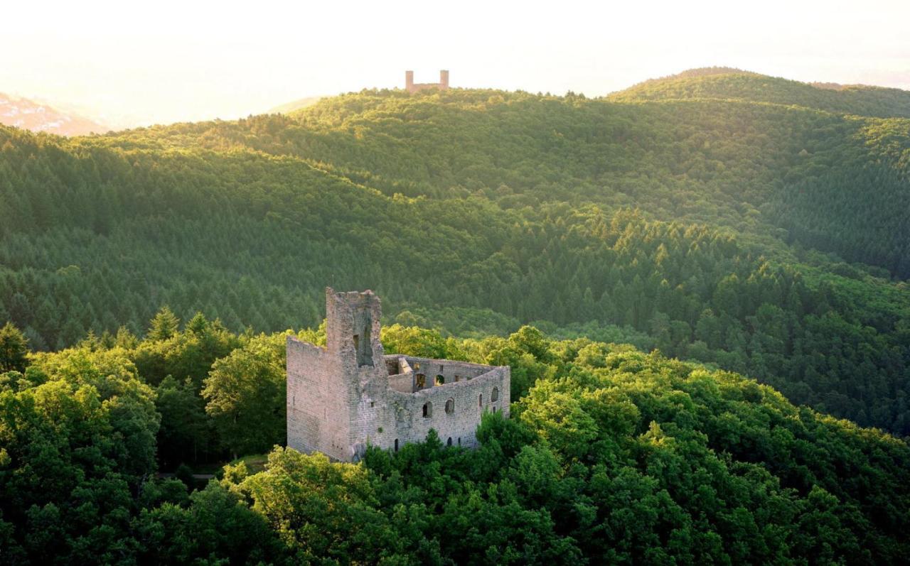La Curiosite - Appartement 2 Chambres A Barr, Route Des Vins D'Alsace Dış mekan fotoğraf